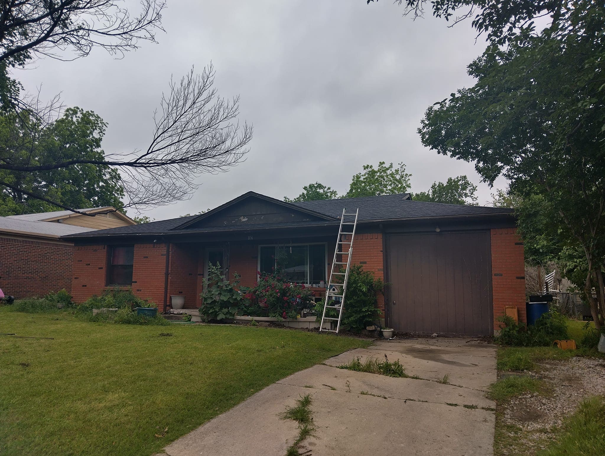 Brick house with a ladder against the roof, overgrown garden, and cloudy sky.